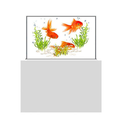 Sleek See Through Clear Oled Screen Touchscreen Anti Glare Transparent Oled