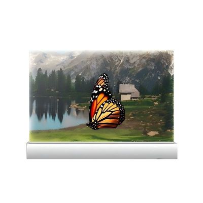 30Inch  Touch Cutting Edge Transparent Oled Monitor Exhibitions Charm Suitable In Stock