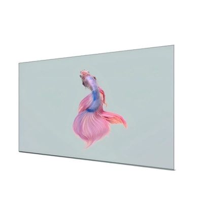Shopping Mall Advertising See Through Lcd Screen High Transparency Full Color