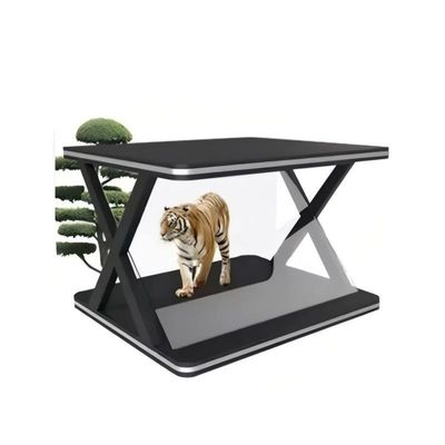 Exhibition Hall 3d Holographic Screen 270 Degree Transparent Design Android Operating System