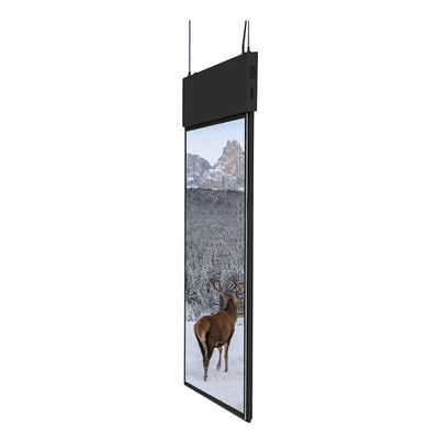Multi-Touch Standalone Transparent Signage Display Commercial Clear Digital Display