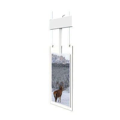 Multi-Touch Standalone Transparent Signage Display Commercial Clear Digital Display
