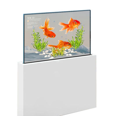 Sleek See Through Clear Oled Screen Touchscreen Anti Glare Transparent Oled