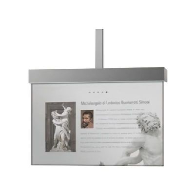 Intelligent Indoor Transparent OLED Display Vertical For Theaters Museum